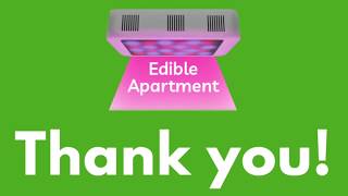Edible Apartment: NYC Media Lab 2019 Summit - Live Poll Winner!