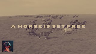A Horse is Set Free - A Soul Song