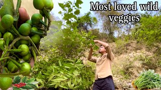 Best time of the year to Visit Jungle|Mission Organic Wild Vegetable|Lets get Wild Together 🐒