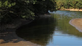 𝗣𝗹𝗮𝘆𝗹𝗶𝘀𝘁 │ 9월, 잔잔한 울림