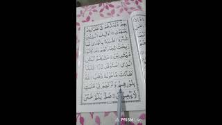 🔴Live Para 1 – Surah Al-Baqara with Tajweed | Learn Quran Online | Day 3