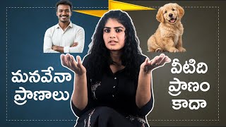 🚨SUPREME COURT ON STRAY DOGS🚨 | #straydogs #stray #supremecourtofindia #animallovers #dogs 
