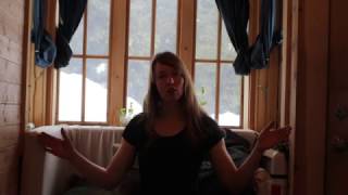 Life in a Tiny House called Fy Nyth - Who I am & Where I live - 2/9/17