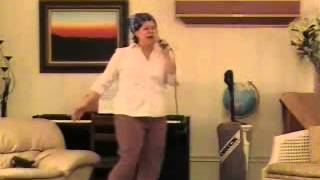 The Housewife's Blues - live onstage from "1972" the Musical!