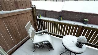 Kansas City, Missouri Snowstorm - January 24, 2026 - Synthesized - #kansascity #kc #snow #weather