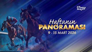 🐎 Weekly Overview is here! 📅 March 9-15, 2026