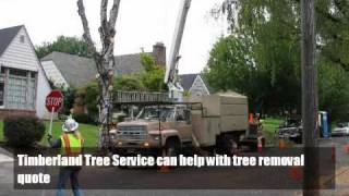 tree removal quote