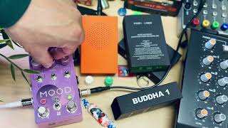 BUDDHA MACHINE 1 with M O O D MK2