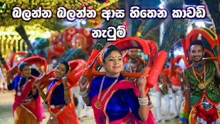 Kawadi Natum | The Heartbeat of Sri Lankan Tradition | කාවඩි නැටුම