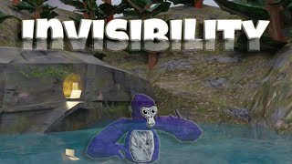 We Became Invisible mid game..