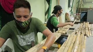 FYI: Mining the Green Gold of Our Forest