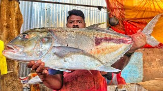 KASIMEDU 🔥 SPEED SELVA | BIG SIZE TREVALLY FISH CUTTING VIDEO | 4K VIDEO | KM FISH CUTTING 
