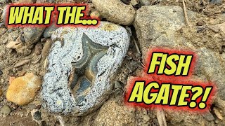 November Treasures on the Yellowstone River | AGATE INSANITY 12!