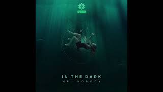 Mr. Nobody - In The Dark