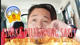 ANO BA PINAKA DILIKADO AT NAKAKAMATAY NA SAKIT MANOK ?