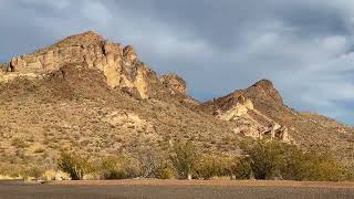 Big Bend Texas Christmas Critters 12/25/25: Watch For Wildlife! Visiting With Aoudads And A Raven :)