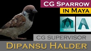 CG Sparrow | Dipansu Halder | CG Supervisor