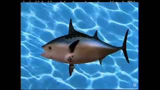 SüngerBob KareŞort (2003) - Türkçe Dublaj (VCD, DVD 4:3) 2005-2010 Jenerik Müziği (TV)