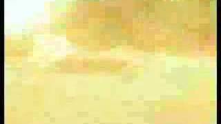 Shop Boyz - party like a rockstar_vs_gang_war_riddim