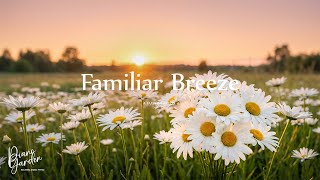 A Familiar Breeze 🌿✨ Relaxing Piano Music For Stress Relief & Emotional Healing