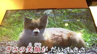 200324 Kimi no te