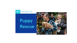 PSA Puppy Rescue