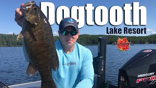Dogtooth Lake Resort Smallmouth Bass Fishing!