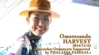 2014/11/24 Omotesando HARVEST  Suncatcher Supported by THALASSA FAMILIA r ♪BGM by Unico