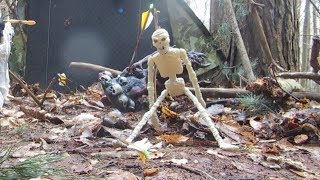 Field Archery 3D & Micro 3D's
