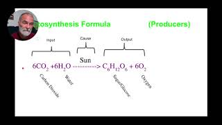 Energy Processes Slide Deck   Google Slides