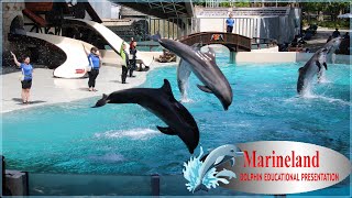 Marineland Canada Full Dolphin Show 2022 [ EDUCATIONAL PRESENTATION ]#canada #niagarafalls #dolphin