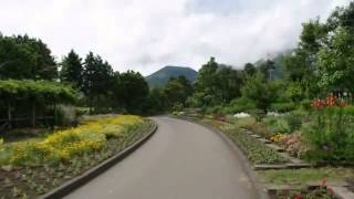 ノルウェーの森 (Norwegian Wood) 多重録音 角パパ