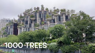 1000 Trees
