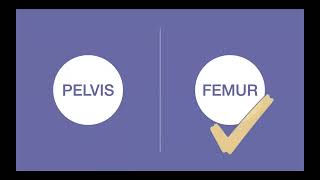 TPOS 2021 lecture : 09 Pelvic and femur fracture