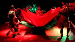 Gran Encuentro Nacional de Toadas - Dança Das Feras  (Mix de toadas))