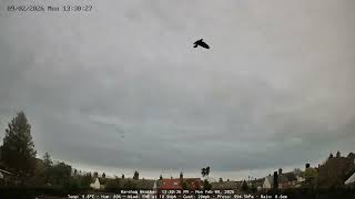 Wareham - Daily Time-lapse - 09/02/2026