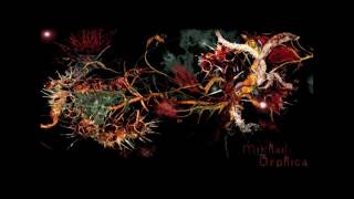 Maenads - Orphica album (2007) by Mikhail Karikis
