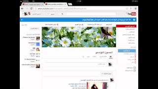 قناتي الجديدة الخاصة بتربية الحسون