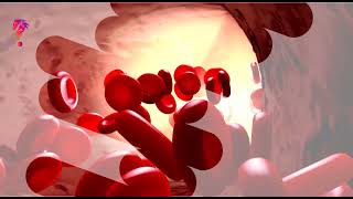 Spleen