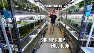 The most ADVANCED Shrimp Breeding Room Tour