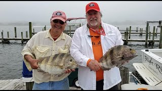 Sheepshead Bait Bags. Top method to catch this notorious bait thief.