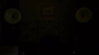 Cessaro Liszt Horn Speakers vs Tong Li