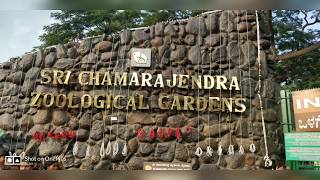 Mysore Zoo Tour