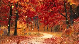 The Book of  Proverbs with Music (Fall)