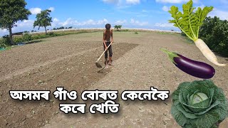 খেতি কেনেকৈ কৰিব | Assam ki kheti full view  বন্ধাকবি খেতিৰ প্ৰস্তুতি যোৰহাট,মোৰ বাৰিখনত কি কি কৰিছো