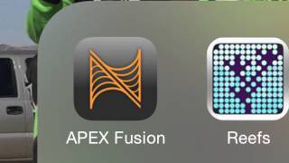 Reef Applications