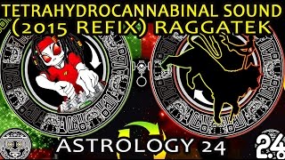 Neurokontrol & Wakefields - Tetrahydrocannabinal Sound (2015 Refix) Raggatek
