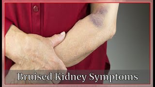 Bruised Kidney Symptoms | Very Well