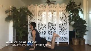 Tutorial: Active Seal Pose - Alternatives to Chaturanga Dandasana