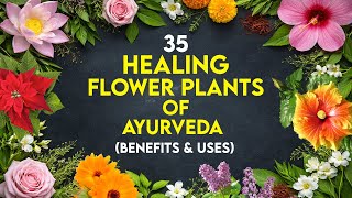 35 Best Medicinal Flowers for Healing | Ayurvedic Flower Plants Identification, Benefits & Uses